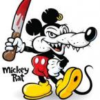 Vaata kasutaja profiili Kasutaja madmouse84 pilt