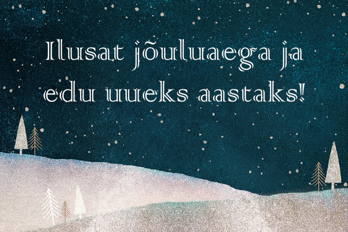 Ilusat jõuluaega ja edu uueks aastaks!